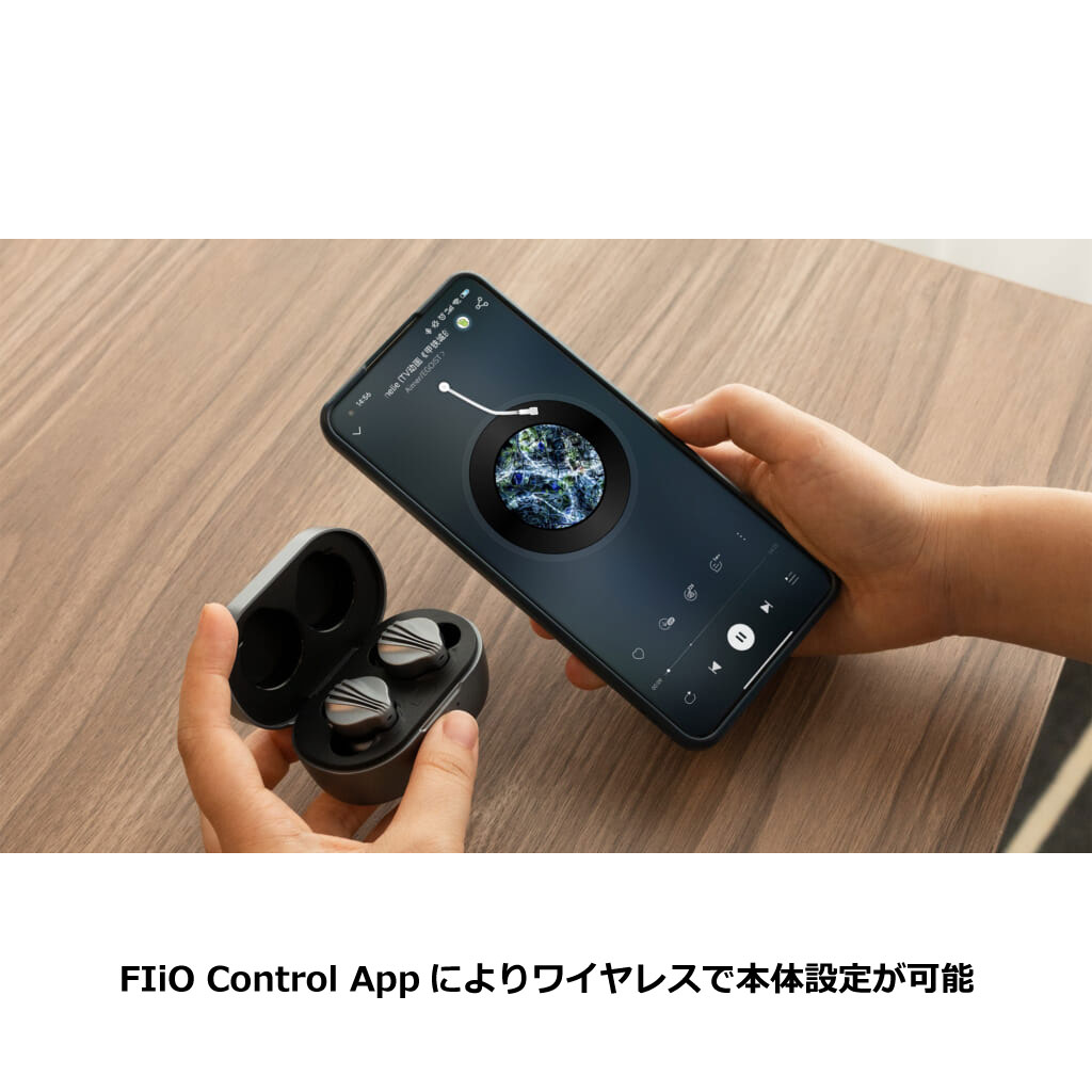 FIIO フィーオ FW3【FIO-FW3】 Dark Gray / e☆イヤホン