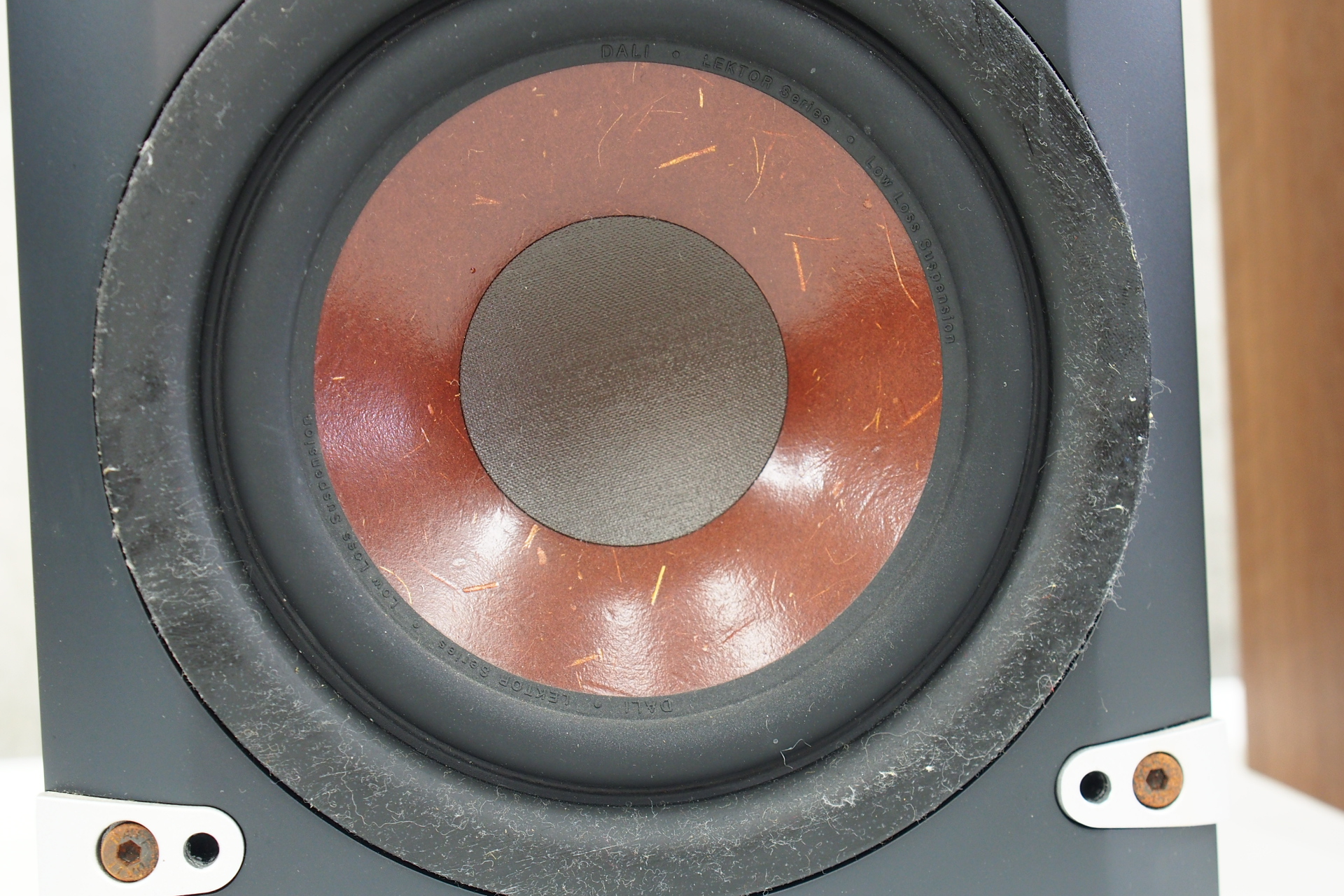 アバックWEB-SHOP / 【中古】DALI LEKTOR 2【コード01-12096 アバックWEB-SHOP / 【中古】DALI LEKTOR 2【コード01-12096