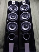 【買取】FOCAL Chorus826E　日本限定モデル　【コード00-94593-21】
