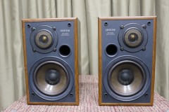 【買取】DIATONE DS-200Z【コード00-94964】