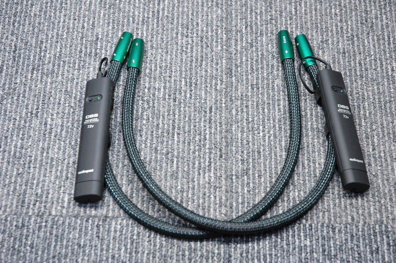 ケーブル・シールド Audioquest Earth 0.5 m 買取】AudioQuest EARTH/0.5M/RCA【コード00-92517】 | 買取