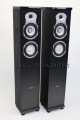【展示処分品】Unisonic AHT-100F-特(ペア)【コード90-01085】